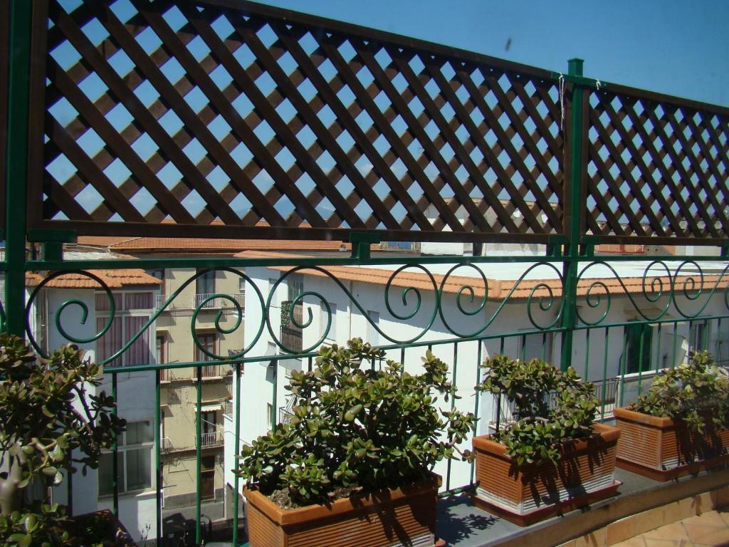 Sorrento Inn Guesthouse מראה חיצוני תמונה
