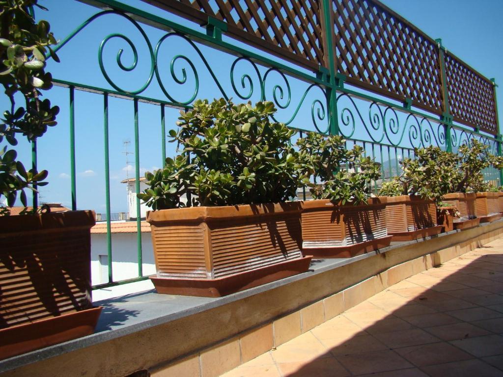 Sorrento Inn Guesthouse מראה חיצוני תמונה